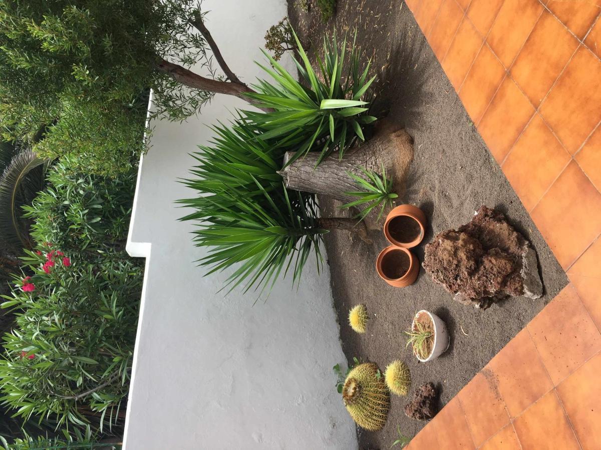 Apartamento Con Jardin Y Piscina B Puerto de la Cruz  Luaran gambar